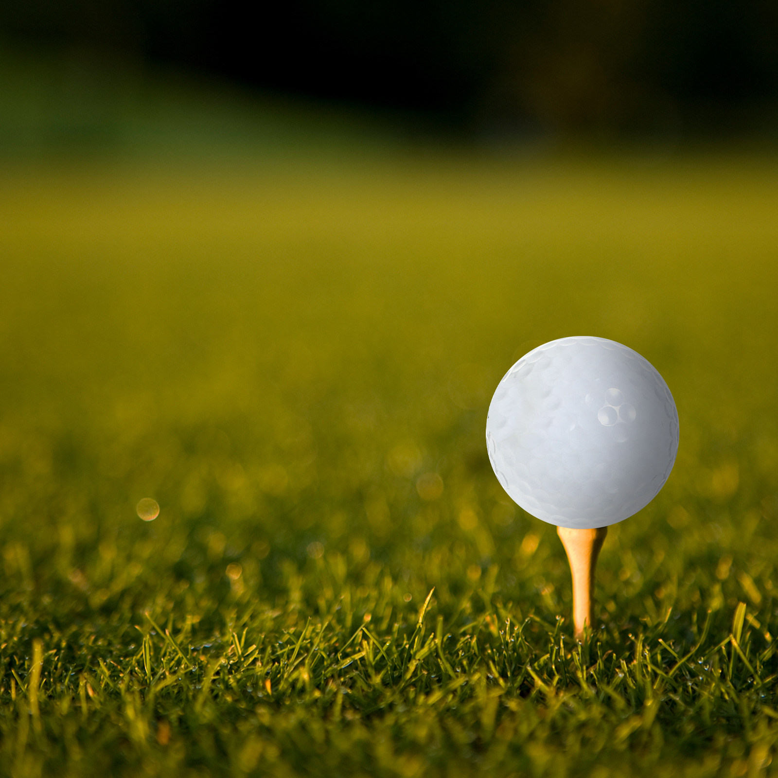 Golf Equipment For Beginners - Мячи для гольфа для тренировок в
